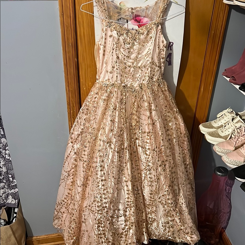 Glamorous Pink Sequin Gown